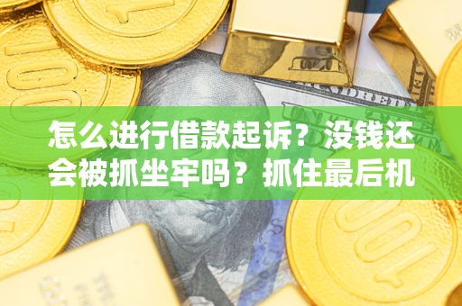 济南怎么进行借款起诉？没钱还会被抓坐牢吗？抓住最后机会！