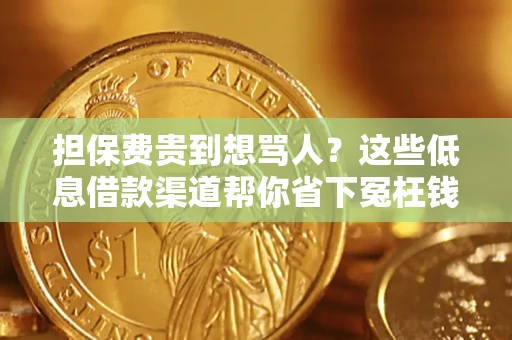 济南担保费贵到想骂人？这些低息借款渠道帮你省下冤枉钱