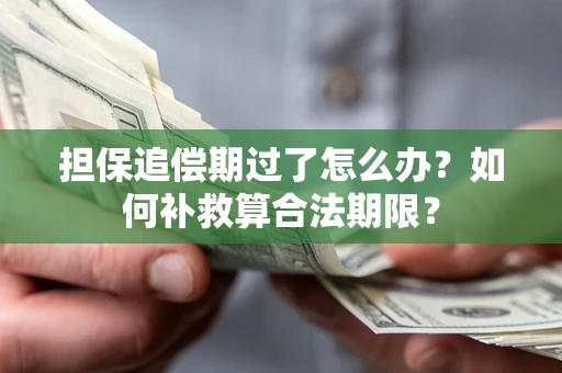 济南担保追偿期过了怎么办？如何补救算合法期限？