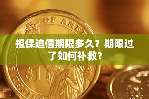 济南担保追偿期限多久？期限过了如何补救？
