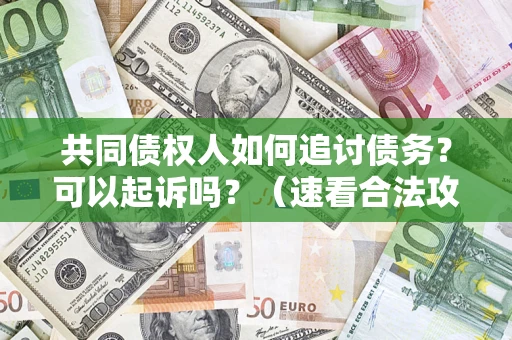 济南共同债权人如何追讨债务？可以起诉吗？（速看合法攻略）