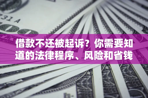 济南借款不还被起诉？你需要知道的法律程序、风险和省钱技巧